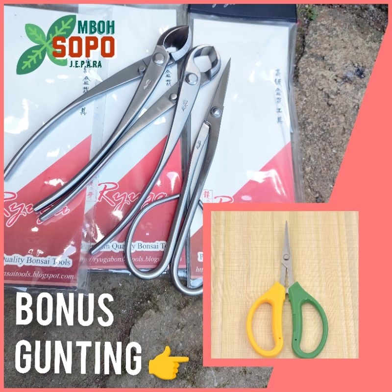 Alat Bonsai  dan berkebun, Set Ryuga Stenlis isi 3 Alat, Panjang 21 cm