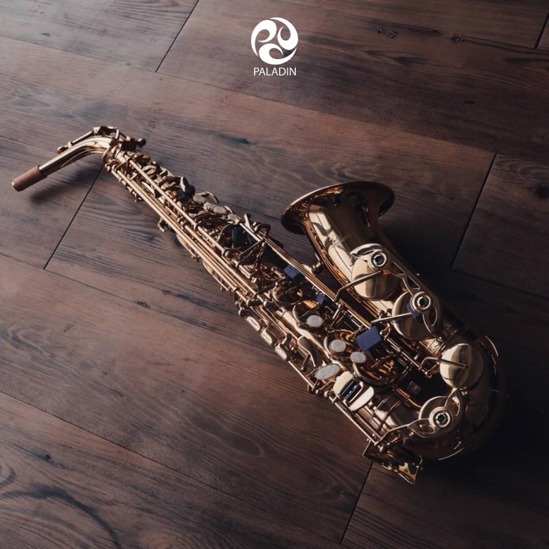 saxophone Paladin js900 alto