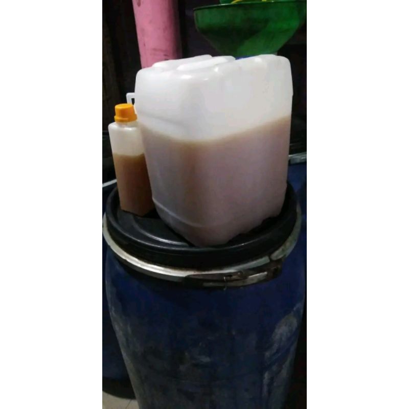 

madu randu grosir murah 10kg nektar bunga randu 100%