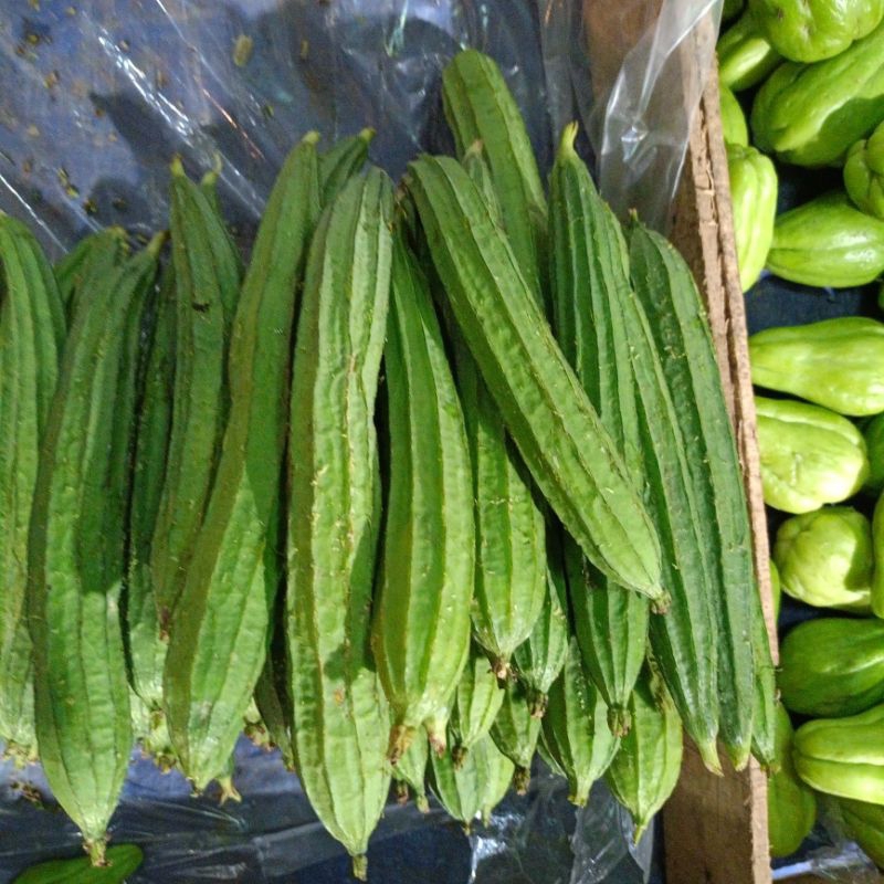 

sayur oyong segar per 1kg