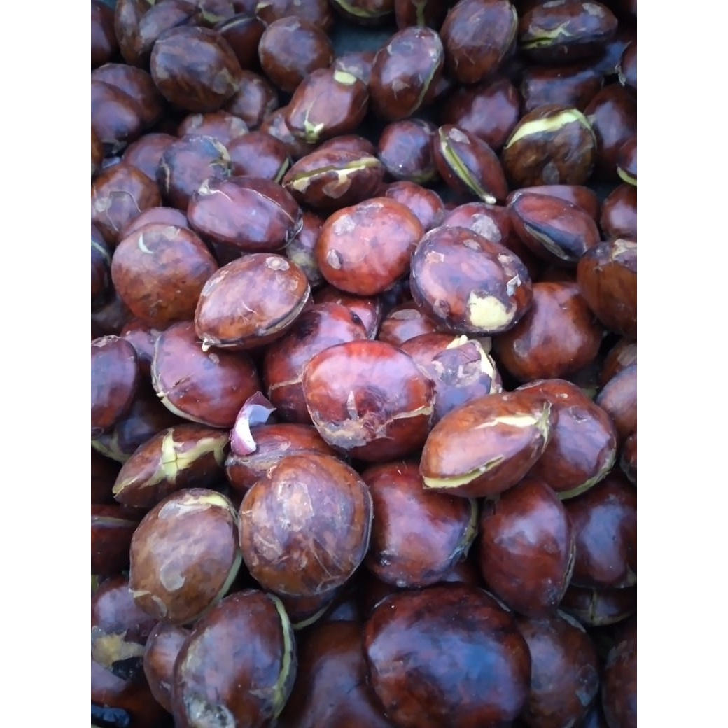 

JENGKOL FRESH SEDEP MANTEP