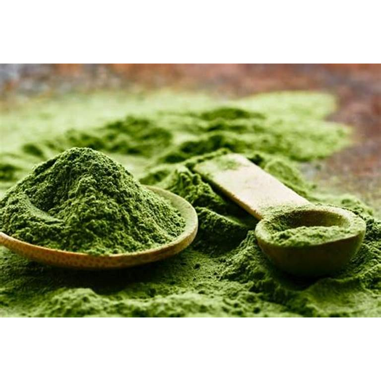 Teh Bubuk Daun Kelor (500 gr) / Morinaga Tea Powder