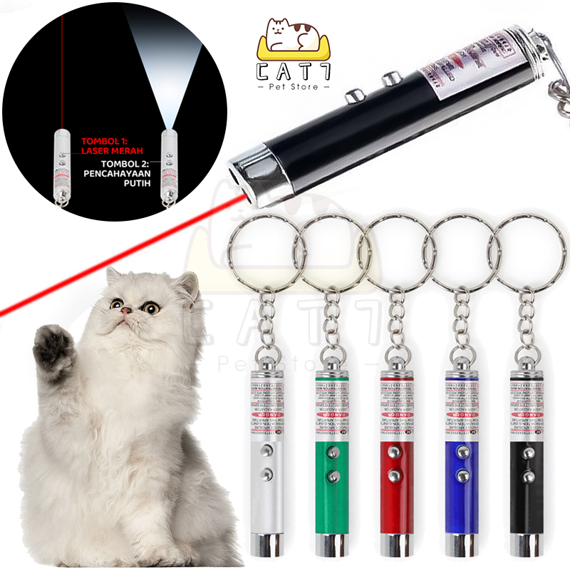 Mainan Kucing Laser Pointer Cat Toys 2 in 1 LED Laser Pointer Kucing Anjing