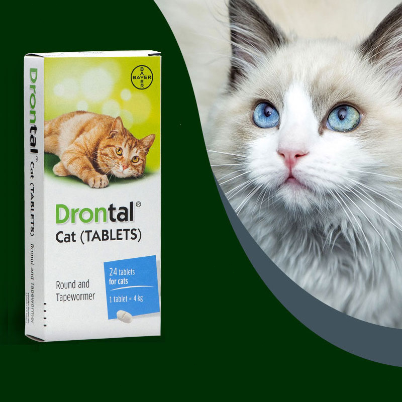 Drontal Cat Obat Cacing Kucing Stop Worm Untuk Cats Dewasa Kiten Cacingan Bukan