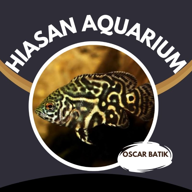 oscar batik baby terlaris top