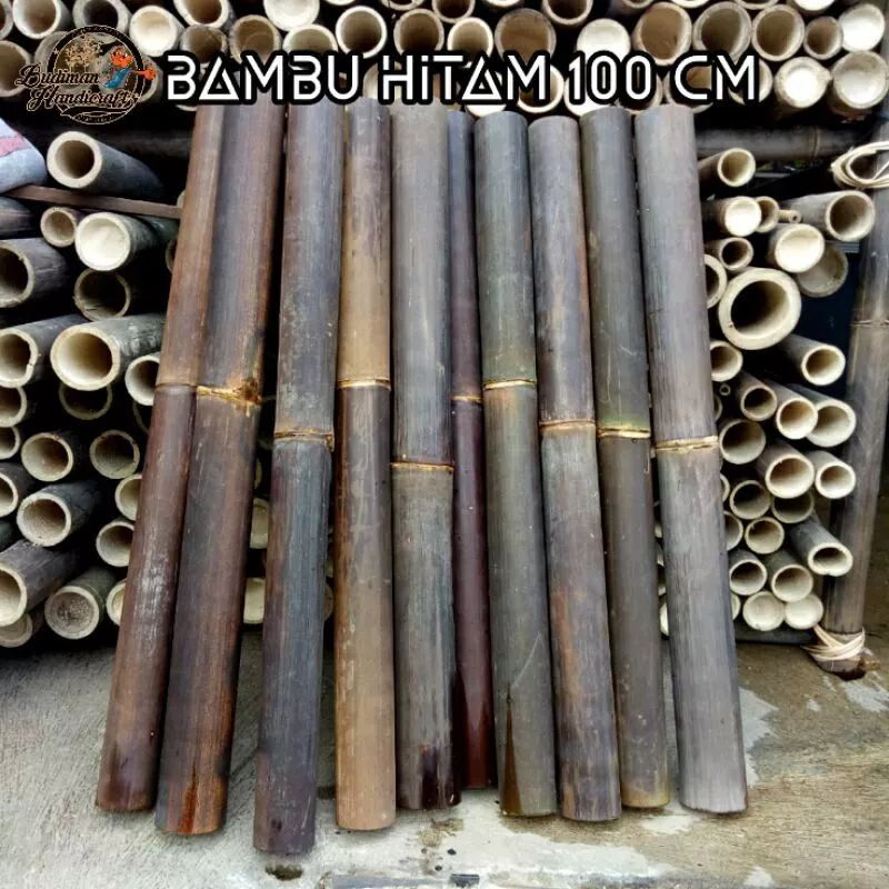 Bambu hitam/Bambu wulung panjang 1 meter