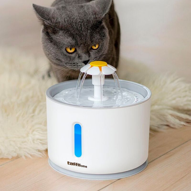 TaffHOME Water Dispenser Fountain Tempat Minum Anjing 2.4L - DR008