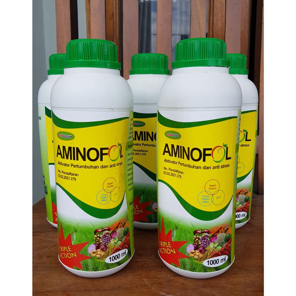 AMINOFOL | ASAM AMINO | ANTI STRESS | ANTI KERDIL | GANDASIL DAUN | TANAMAN PADI | JAGUNG | CABE | B