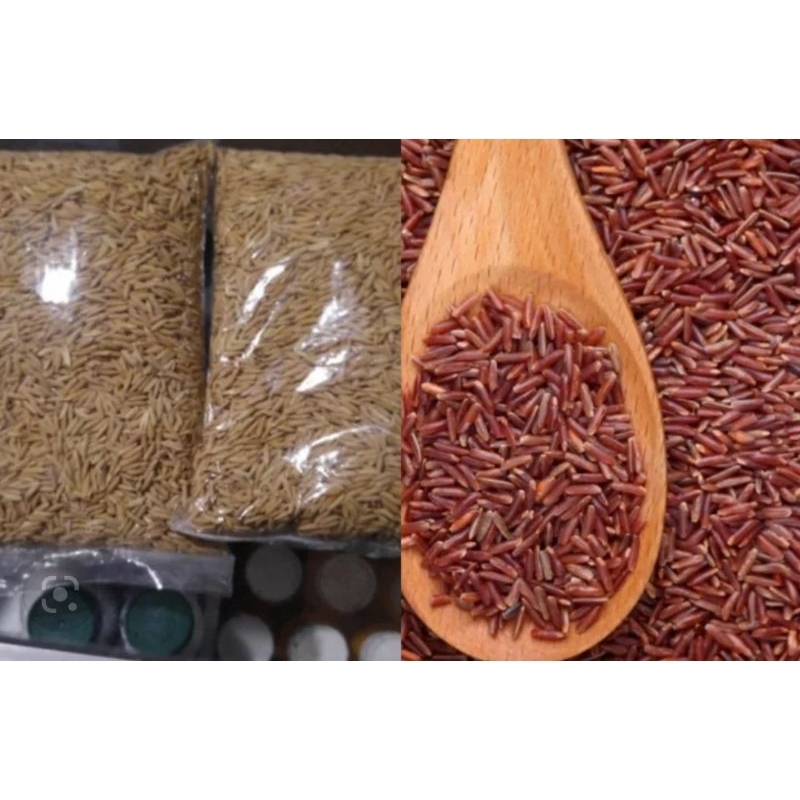 

Bibit padi merah asli padi merah per 1 kg