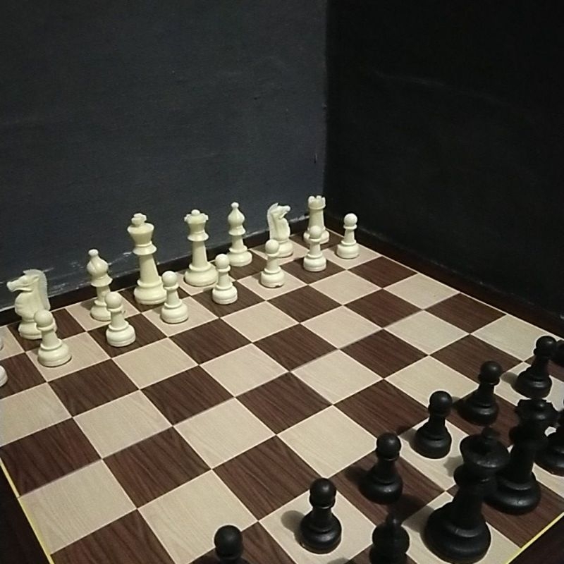 Bidak catur plastik biasa