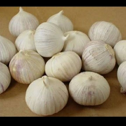 

Bawang Putih Tunggal / Bawang Lanang Putih Kecil fresh Segar Sehat - 500 gram TOP