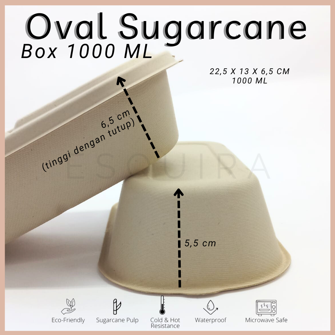 Oval Sugarcane Box 1000 ML / Lunch Box 10 Pcs + Lid / TAB1000