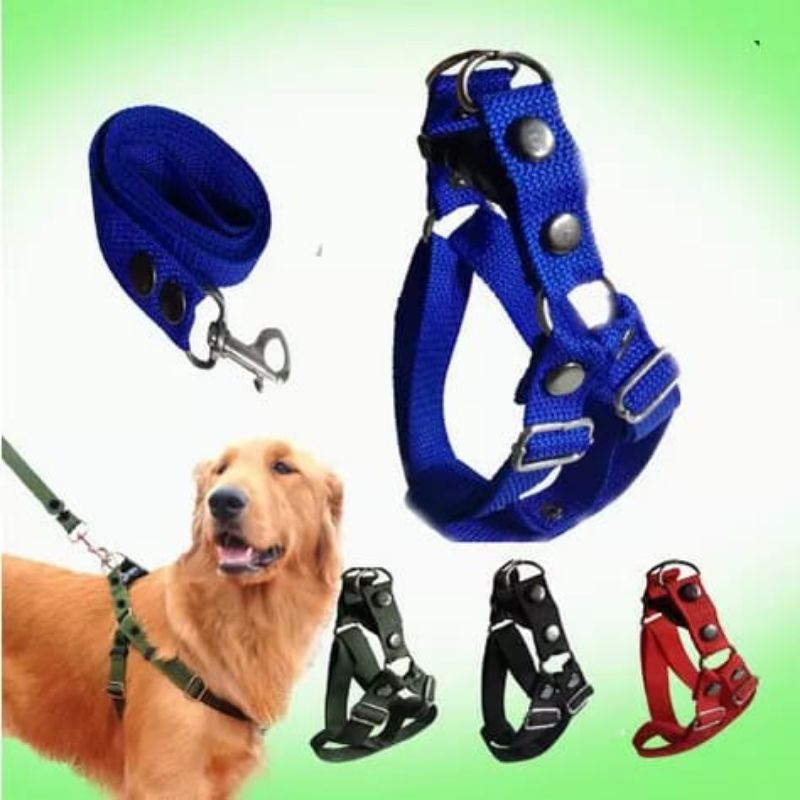 rantai anjing kalung anjing