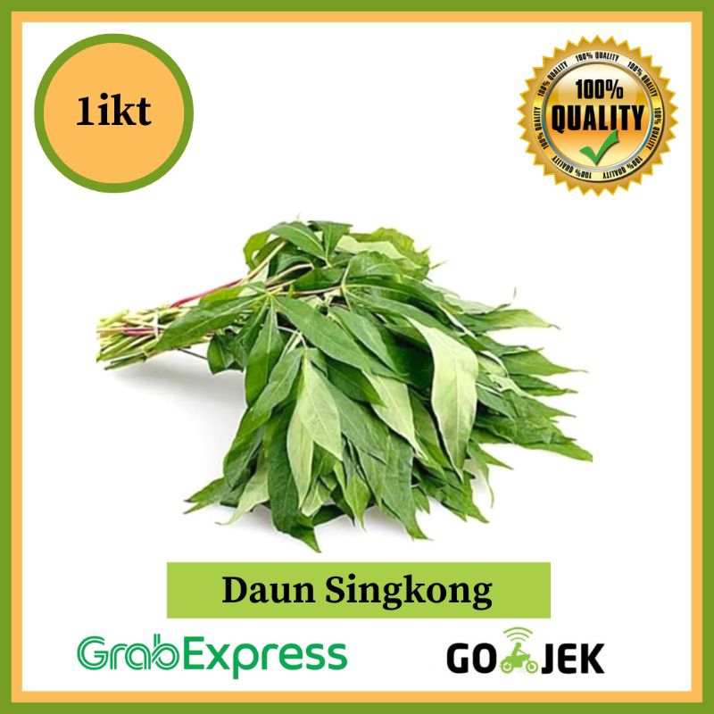 

Daun singkong segar