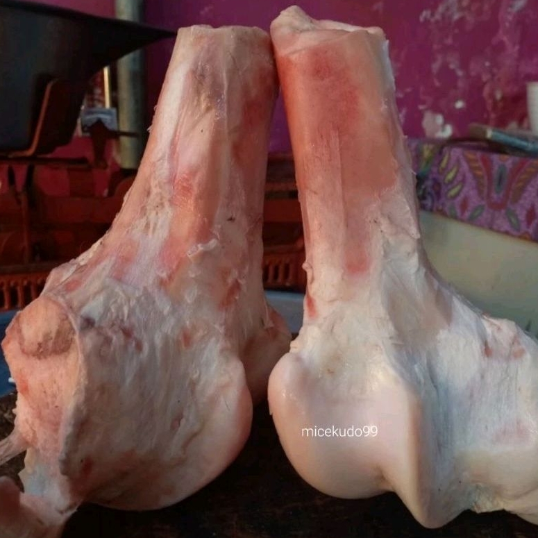 

TULANG SUMSUM SAPI SEGAR SUM SUM KUAH KALDU FRESH BONE MARROW BALUNG