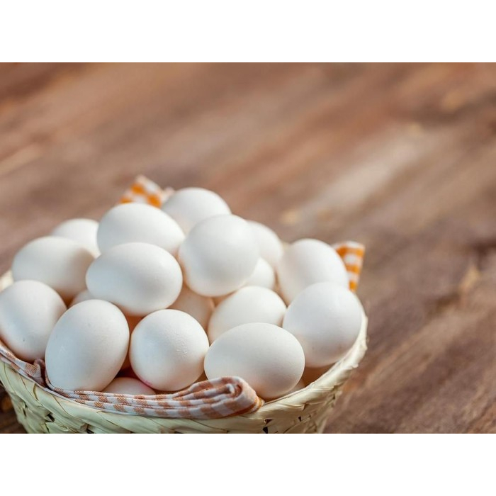 TELUR FERTIL AYAM KUB1, KUB2 JANAKA - GALUR MURNI TELUR TETAS AYAM KUB 1 DAN KUB 2 JANAKA