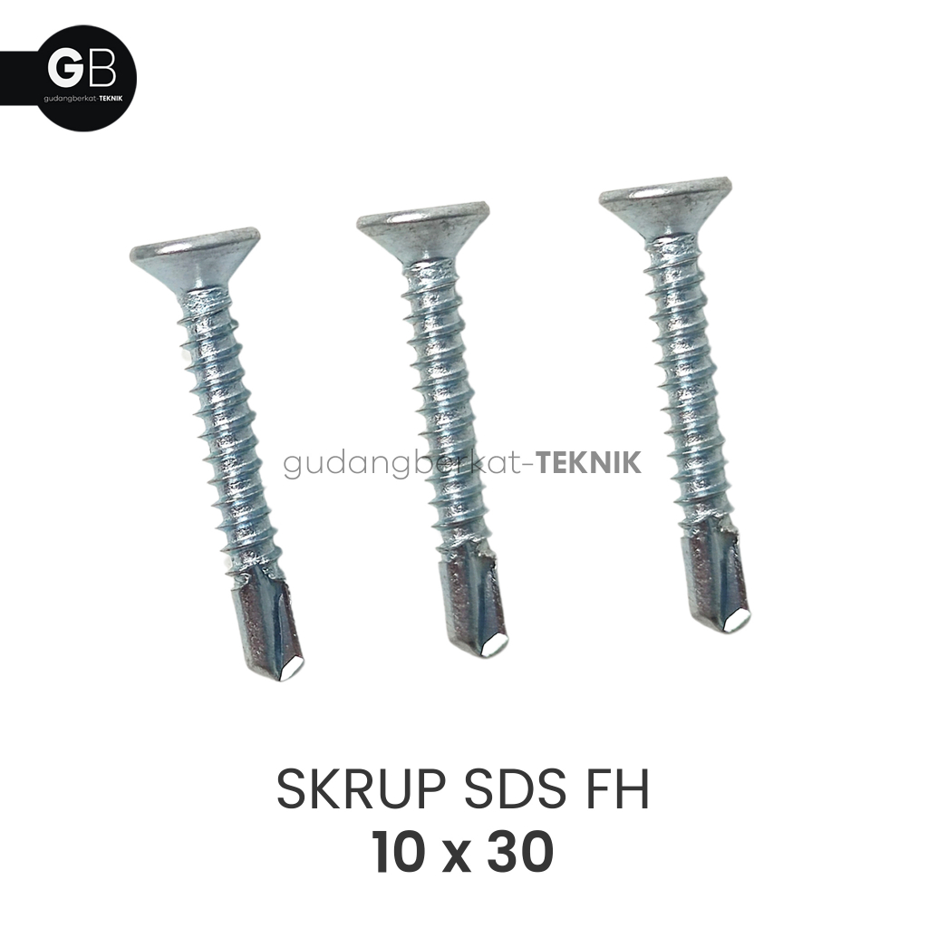 SKRUP SDS FH 10x30 / Sekrup Roofing Baja Ringan FAB 10 x 30