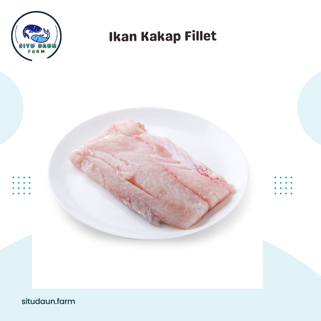 

Ikan Kakap Fillet Murah