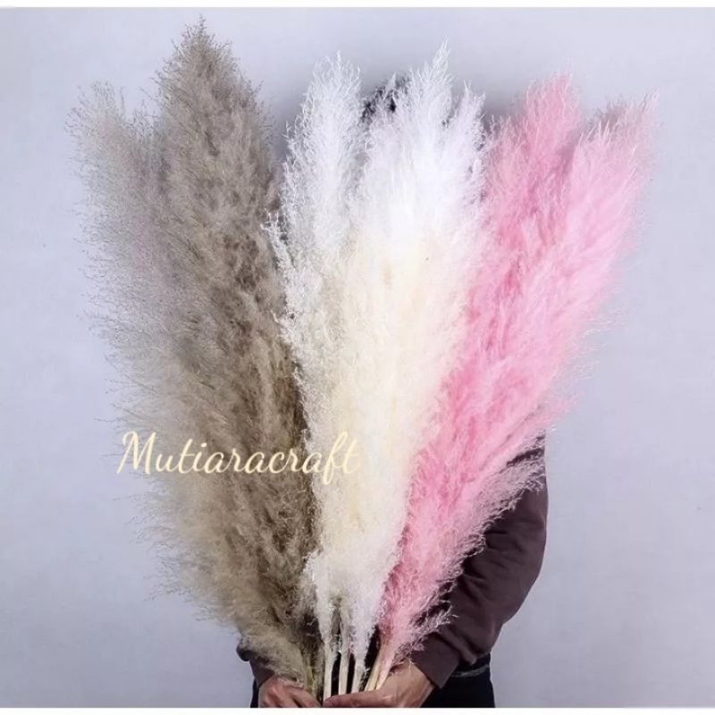 pampas besar cantik pampas bulu premium hiasan vas Guci buket bunga kering