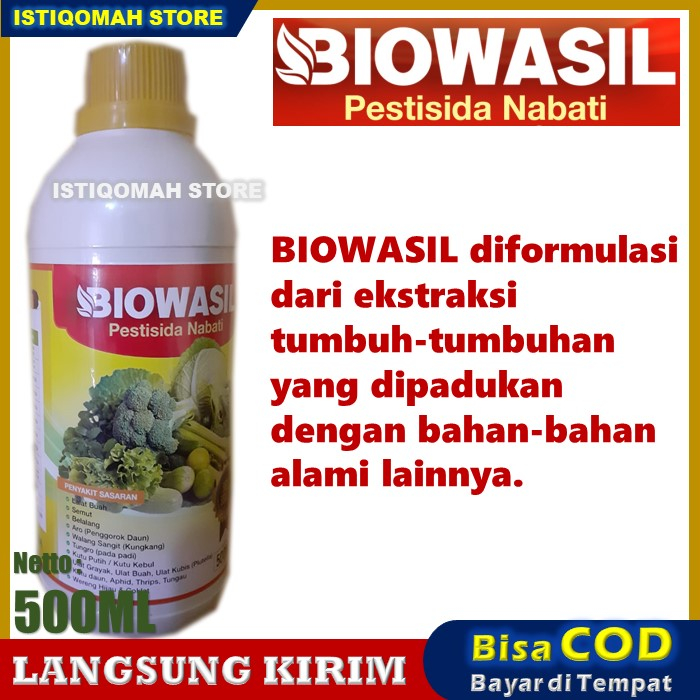 Obat Semprot Hama Tanaman Seledri BIOWASIL 500ML Pestisida Nabati Obat Hama Ulat Grayak, Thrips Parvispinus, Kutu Daun, Lalat Penggorok Daun, Penyakit Septoria Tanaman Seledri yang Bagus dan Ampuh