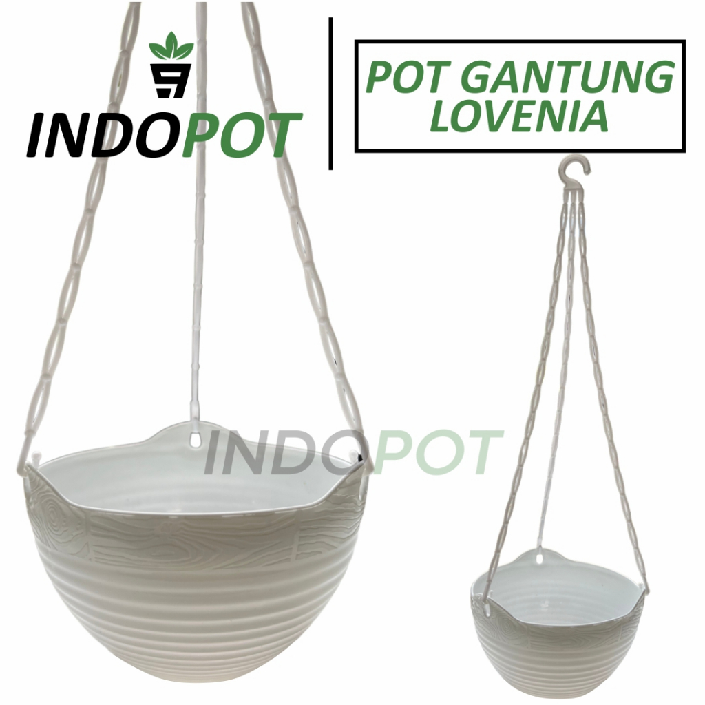 Pot Gantung Lovenia Putih Bunga Tanaman Kembang Hias Plastik Murah - Pot Gantung Tanaman Hias Bunga