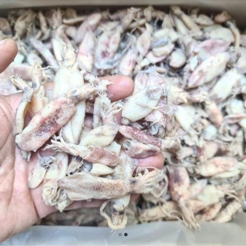 

Ikan Cumi Asin Setengah Kering 1kg murah enak