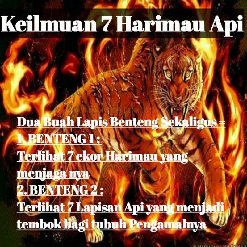 

Keilmuan 7 Harimau Api