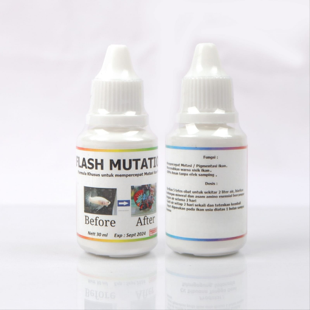 FLASH MUTATION Obat Cepat Mutasi &amp; Full blok warna cerah ikan Cupang