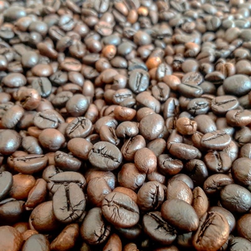 

Robusta Roastbean Argopuro