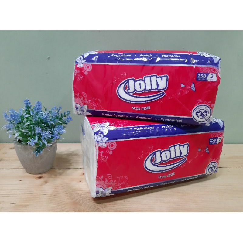 Tissu jolly 250 sheet-ply (2 pack) MURAH