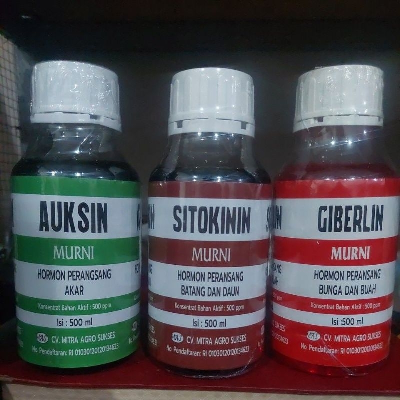 HORMON ZPT AUKSIN SITOKININ GIBERLIN KEMASAN 500ML
