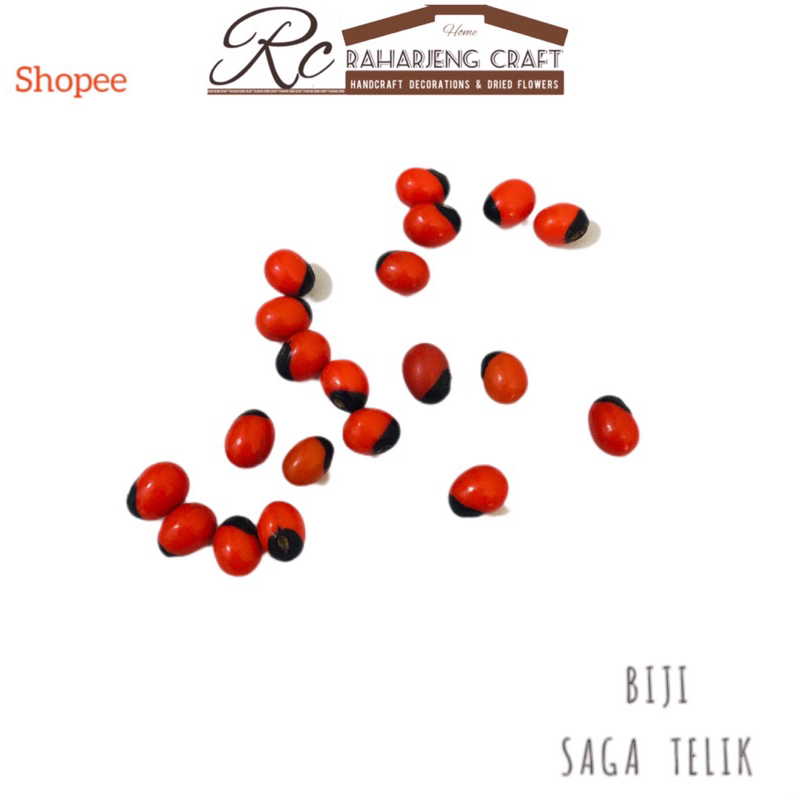 113 || 20 Pcs Biji saga telik bahan craft kerajinan kolase dekorasi bibit
