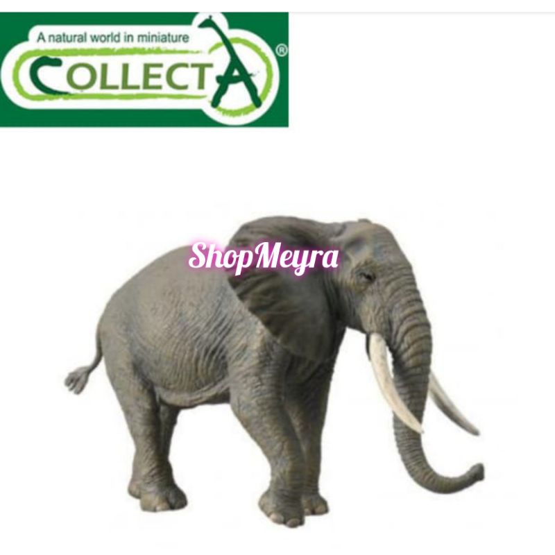 Collecta Figure African Elephant