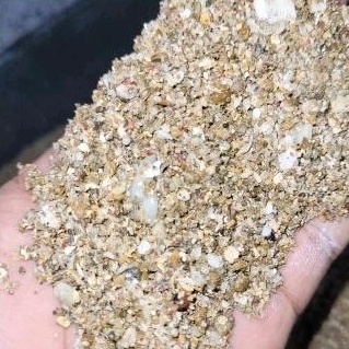 PASIR LAUT KARANG 1KG