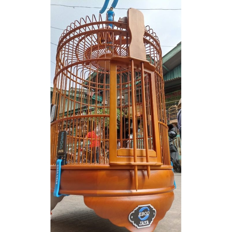 SANGKAR ANIS EBOD JATI ISTIMEWA.