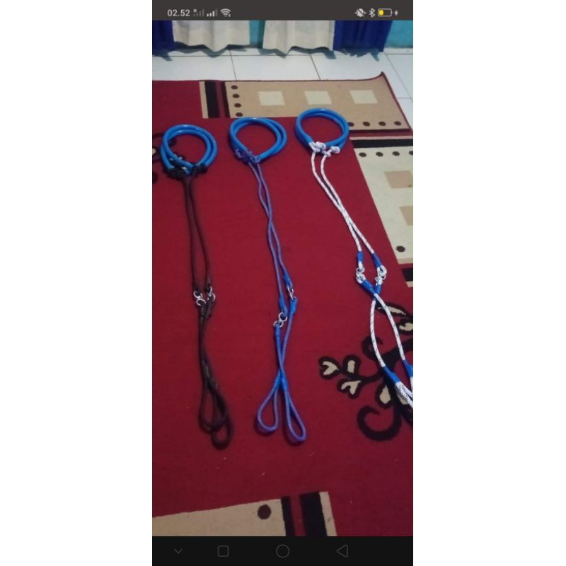 tambang jemur domba garut