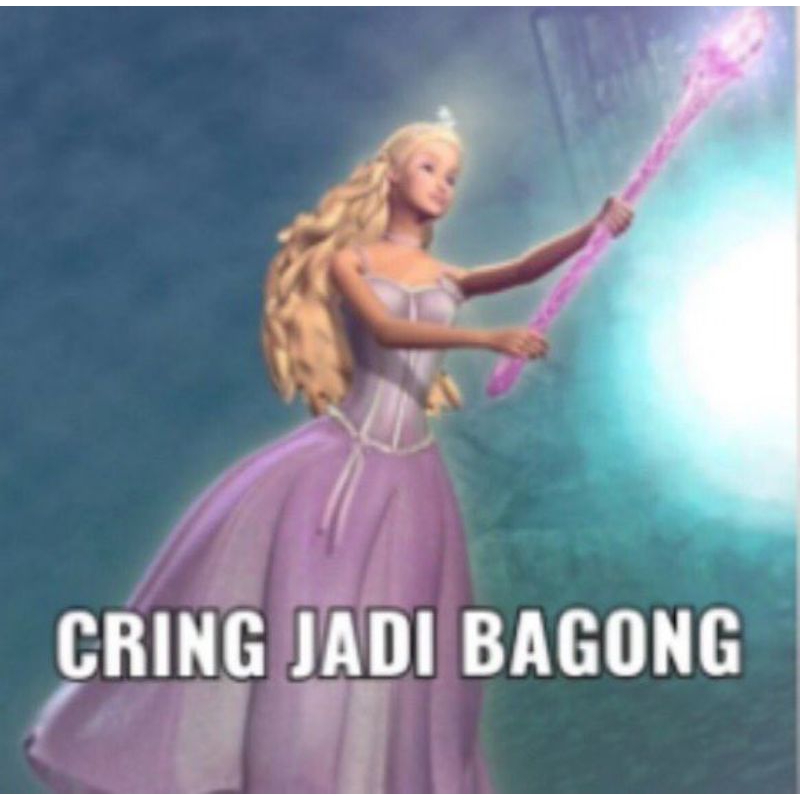 paket punya hakam chuaks