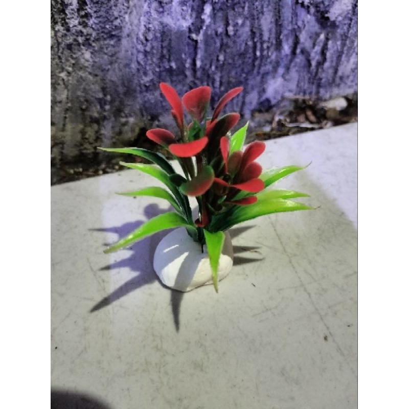 tanaman plastik akuarium