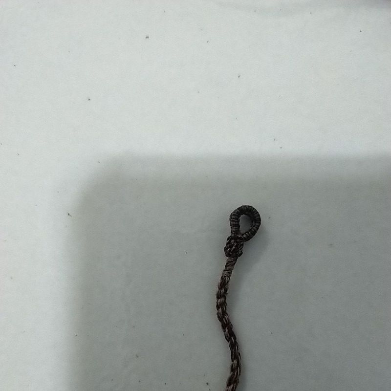 tali burung kutilang crukcuk