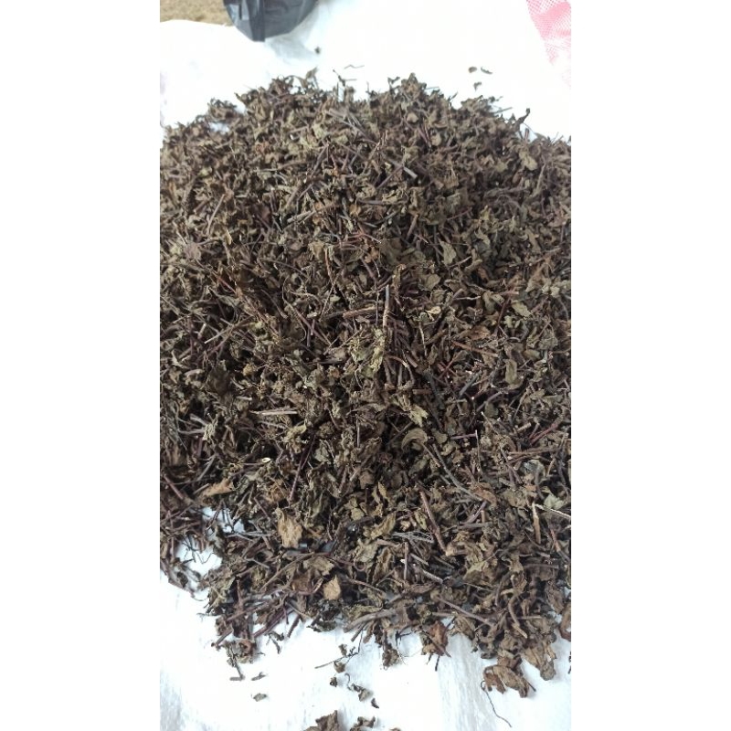 

PROMO Terbaik 1 kg 1000 gram Daun+Ranting Cincau Hitam Janggelan/Lengkong Cingcau Xian Cao anti gagal Order di atas 20kg jadi 2 koli