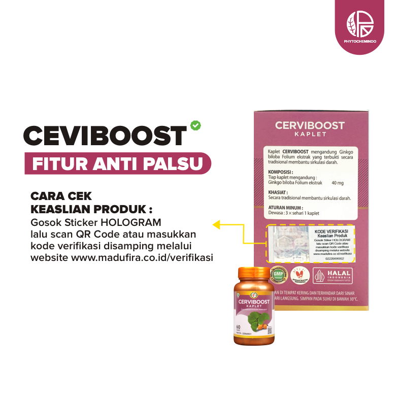 CERVIBOOST Kaplet Ginkgo Biloba Vitamin Otak Atasi Stroke Melancarkan Peredaran Darah