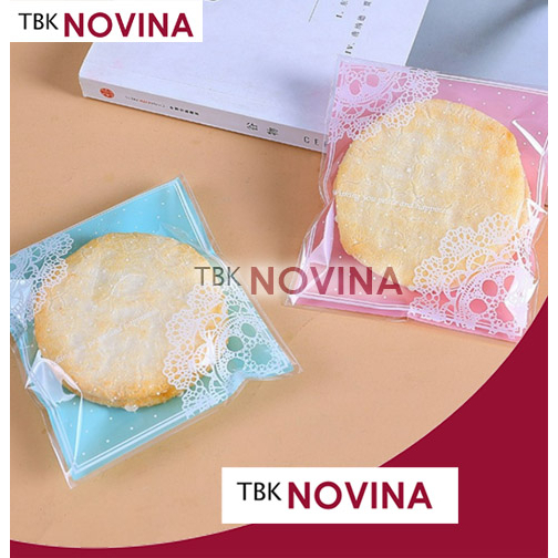 [10 PCS]  PLASTIK COOKIES BAG 10x10 / KANTONG PLASTIK OPP SEAL COOKIES BISKUIT