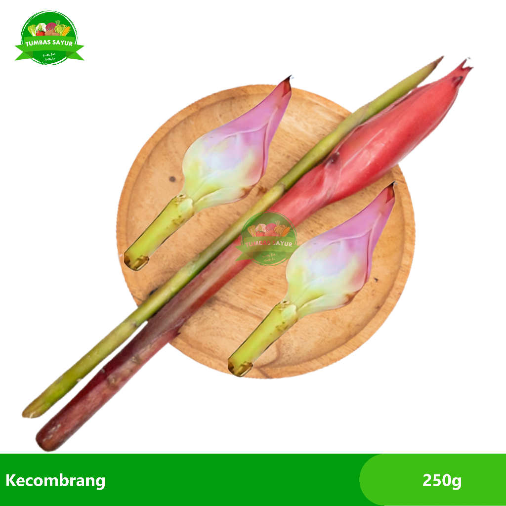 

Bunga Kecombrang 250g