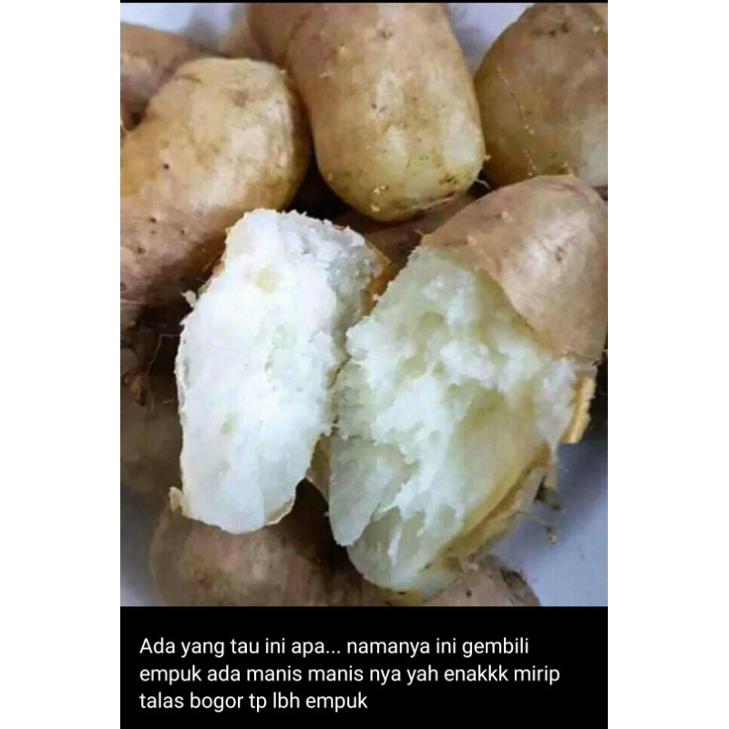 

Gembili