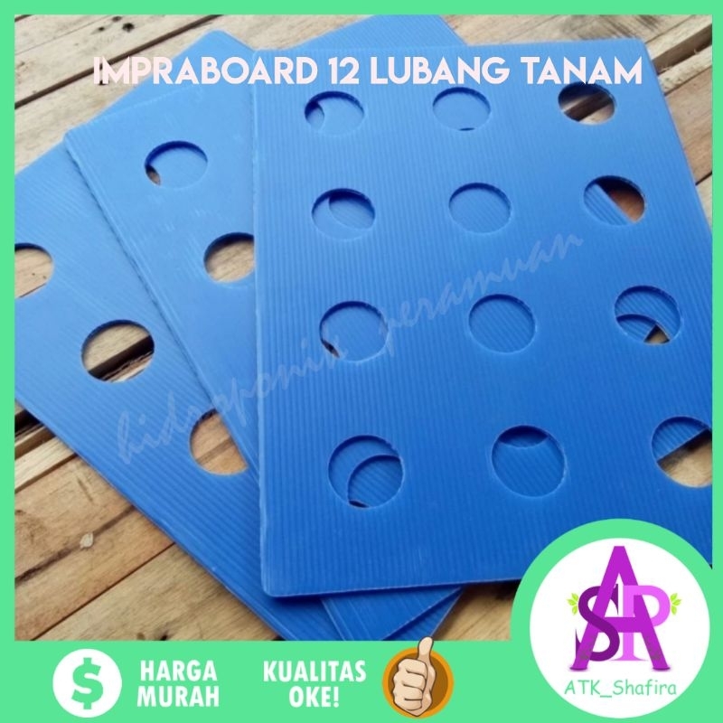 Impraboard 12 Lubang Tanam Bak nutrisi Hidroponik