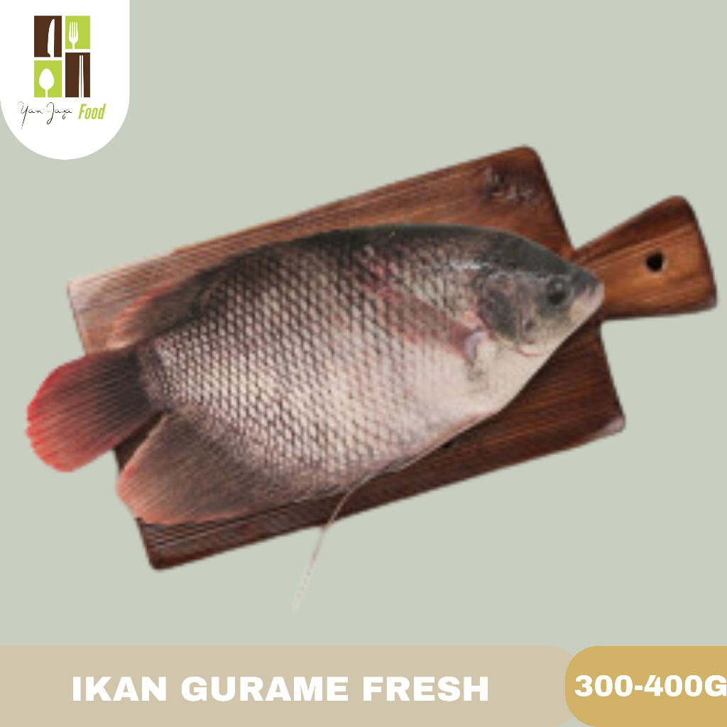 Ikan Gurame Segar / Sudah Bersih / Fresh / Siap Masak / Vakum 400-500g