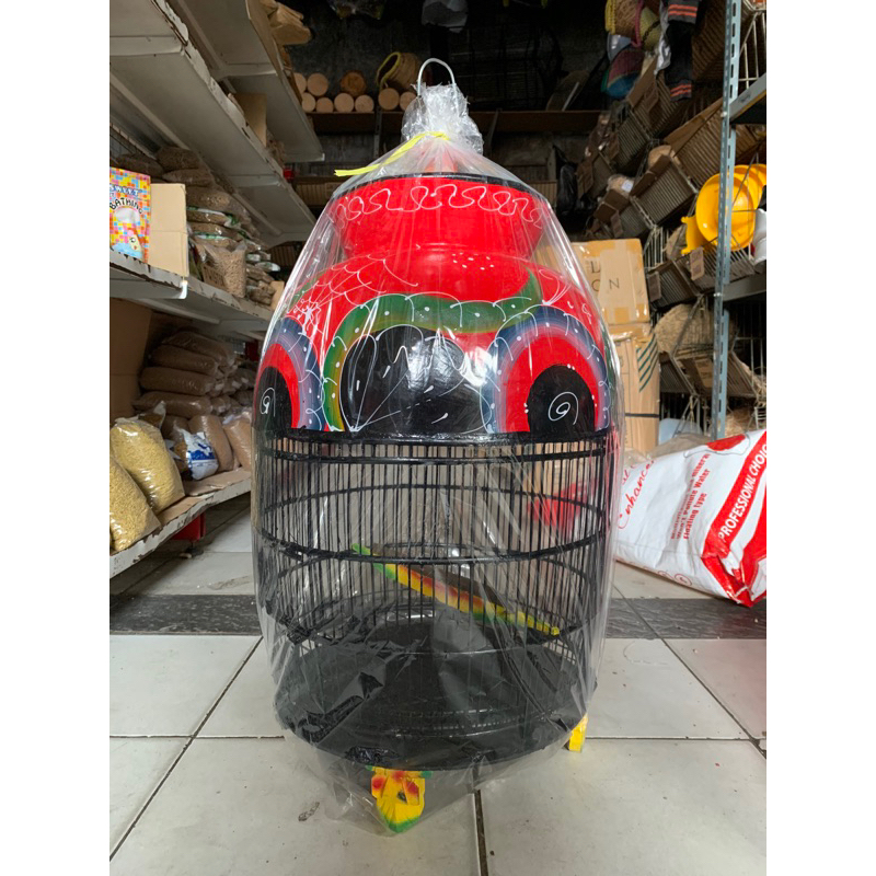 KANDANG PERKUTUT MOTIF KERANG KANDANG BURUNG PERKUTUT