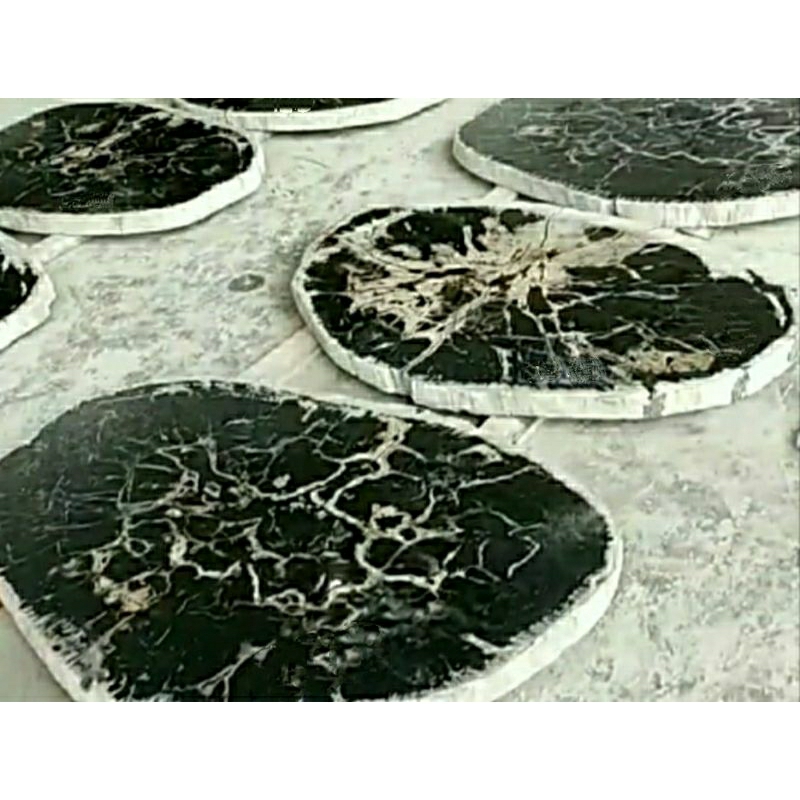 Top Table Batu Fosil Kayu Hitam