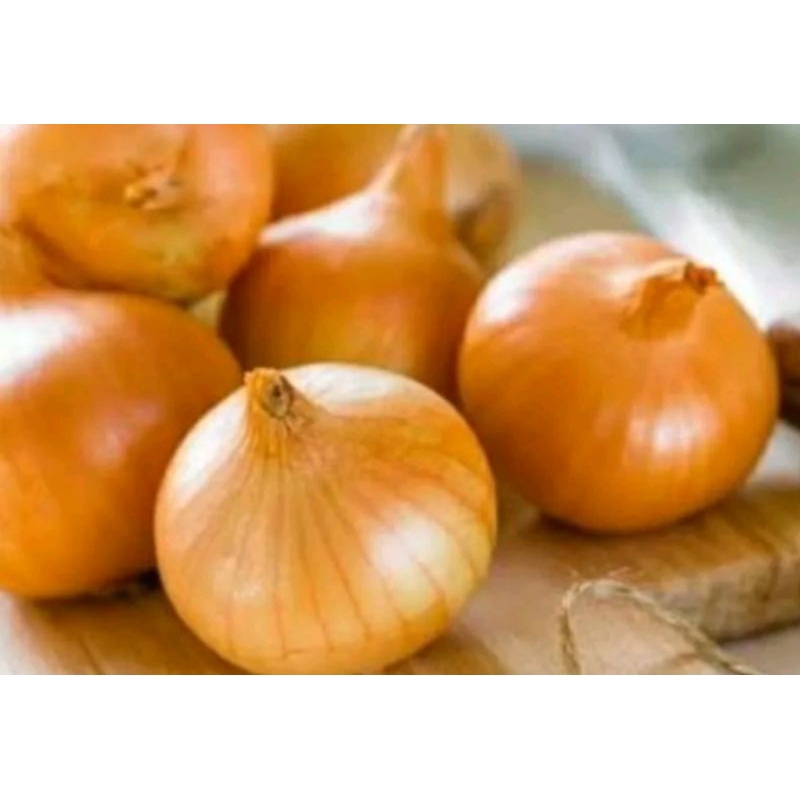 

Bawang Bombai/bawang bombay