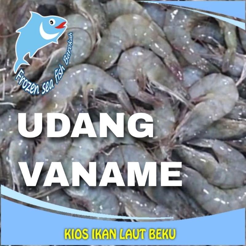 

Tersedia Udang vename beberapa ukuran